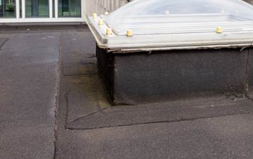 disadvantages of Grains Bar flat roofs
