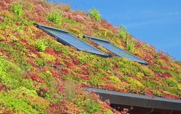 Grains Bar living roof systems